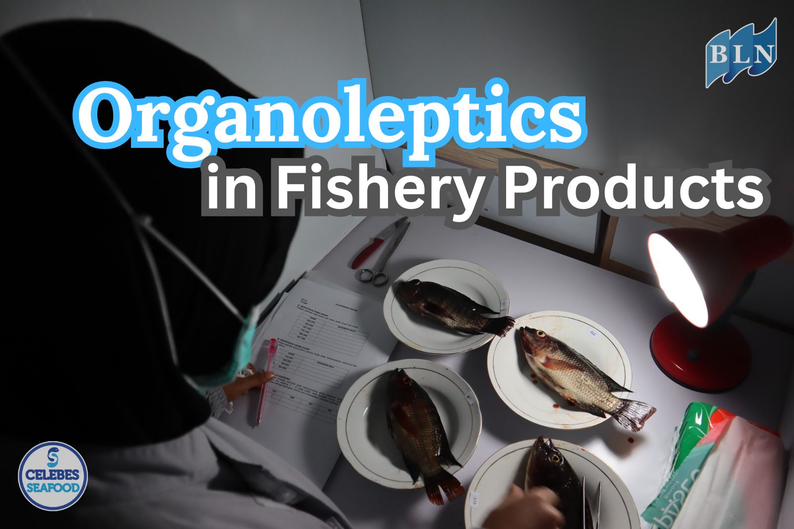 Organoleptic: The Best Way to Choose Fresh and Quality Fish